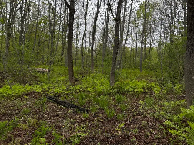 $89,000 | 696 Lebanon Road, Winterport, ME 04496