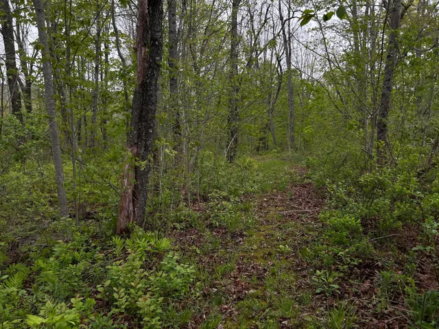 $89,000 | 696 Lebanon Road, Winterport, ME 04496