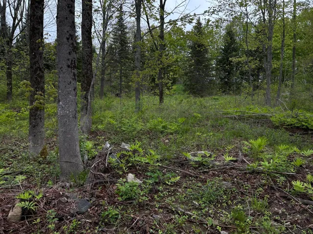 $89,000 | 696 Lebanon Road, Winterport, ME 04496