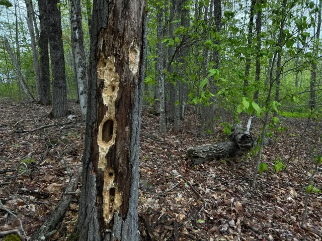 $89,000 | 696 Lebanon Road, Winterport, ME 04496