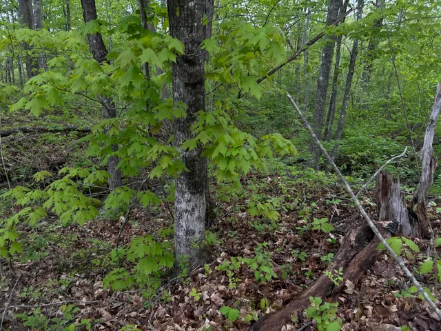 $89,000 | 696 Lebanon Road, Winterport, ME 04496