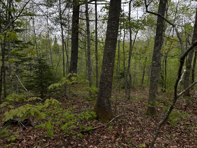 $89,000 | 696 Lebanon Road, Winterport, ME 04496