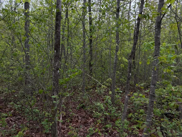 $89,000 | 696 Lebanon Road, Winterport, ME 04496