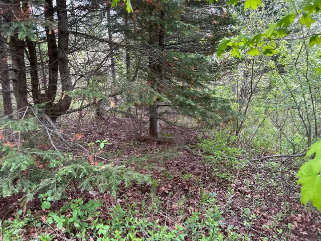 $89,000 | 696 Lebanon Road, Winterport, ME 04496