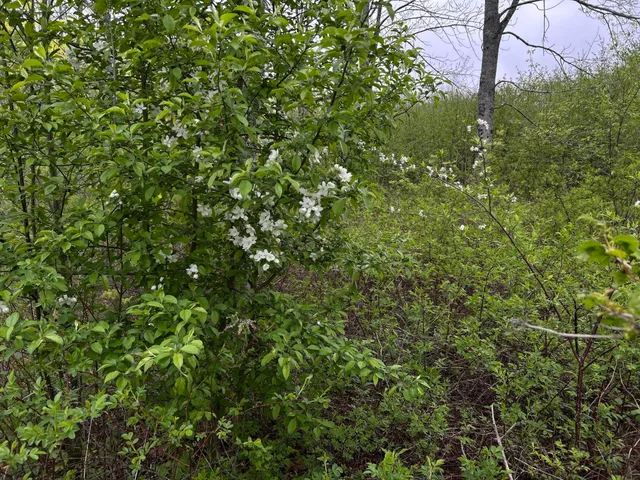 $89,000 | 696 Lebanon Road, Winterport, ME 04496