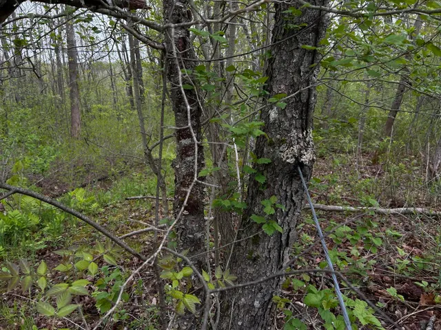 $89,000 | 696 Lebanon Road, Winterport, ME 04496