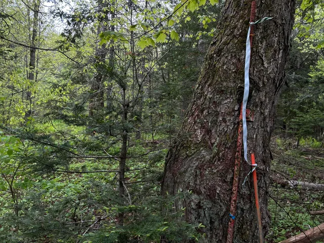 $89,000 | 696 Lebanon Road, Winterport, ME 04496