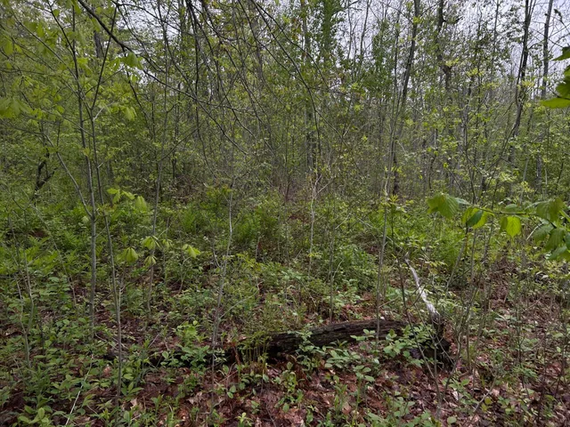 $89,000 | 696 Lebanon Road, Winterport, ME 04496