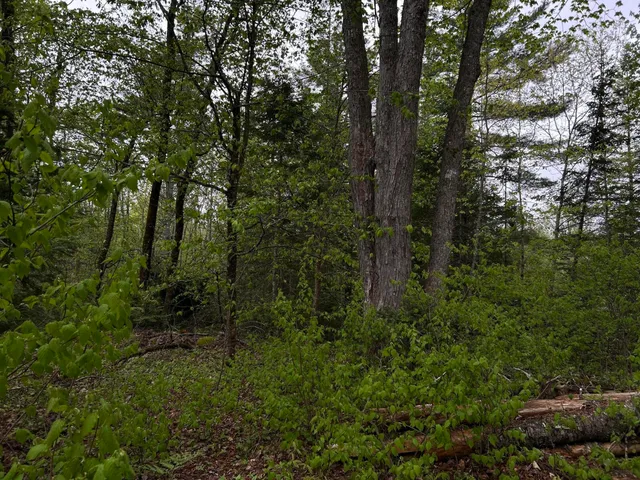 $89,000 | 696 Lebanon Road, Winterport, ME 04496