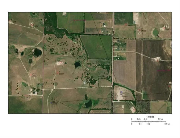 a black and white photo of a garden