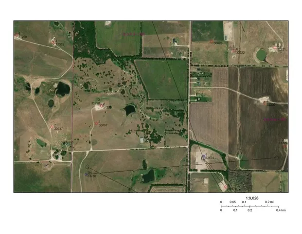 a black and white photo of a garden