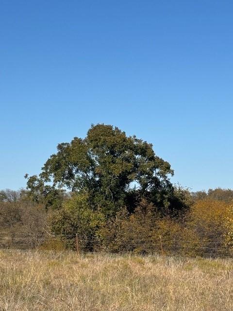 124.75-ac Donald Road Krum, TX 76249 - Photo 4 of 13 a view of mountain view with mountain