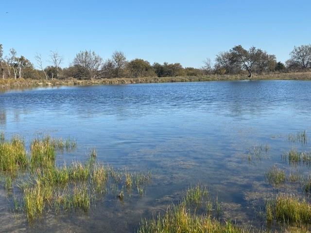 124.75-ac Donald Road Krum, TX 76249 - Photo 6 of 13 a view of a lake view