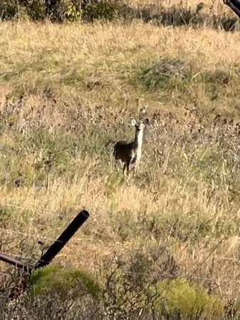 a view of lake with mountain