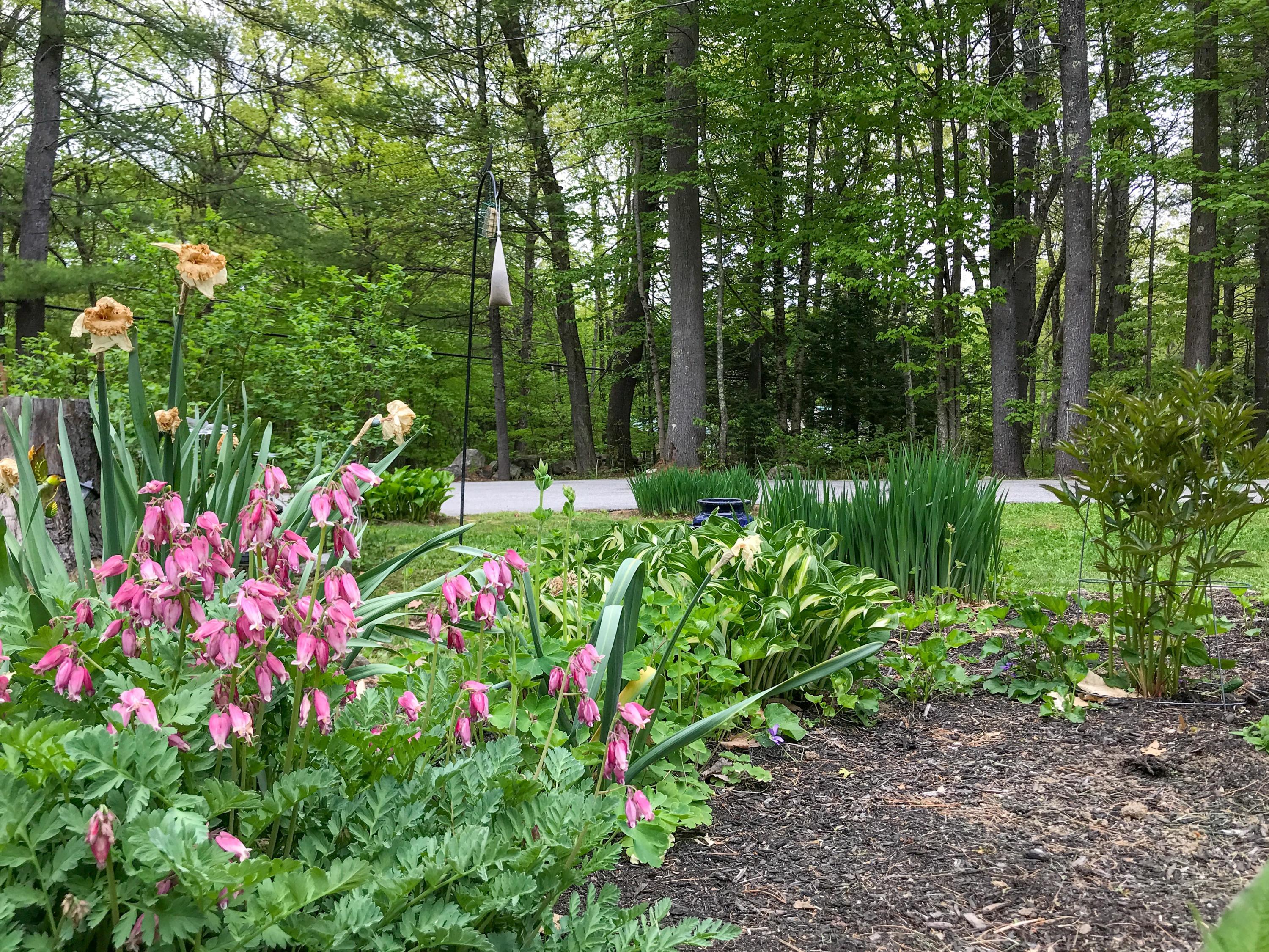 48 Chandler Road New Gloucester, ME 04260 - Photo 78 of 79 48 Chandler Rd New Gloucester - Extra-6