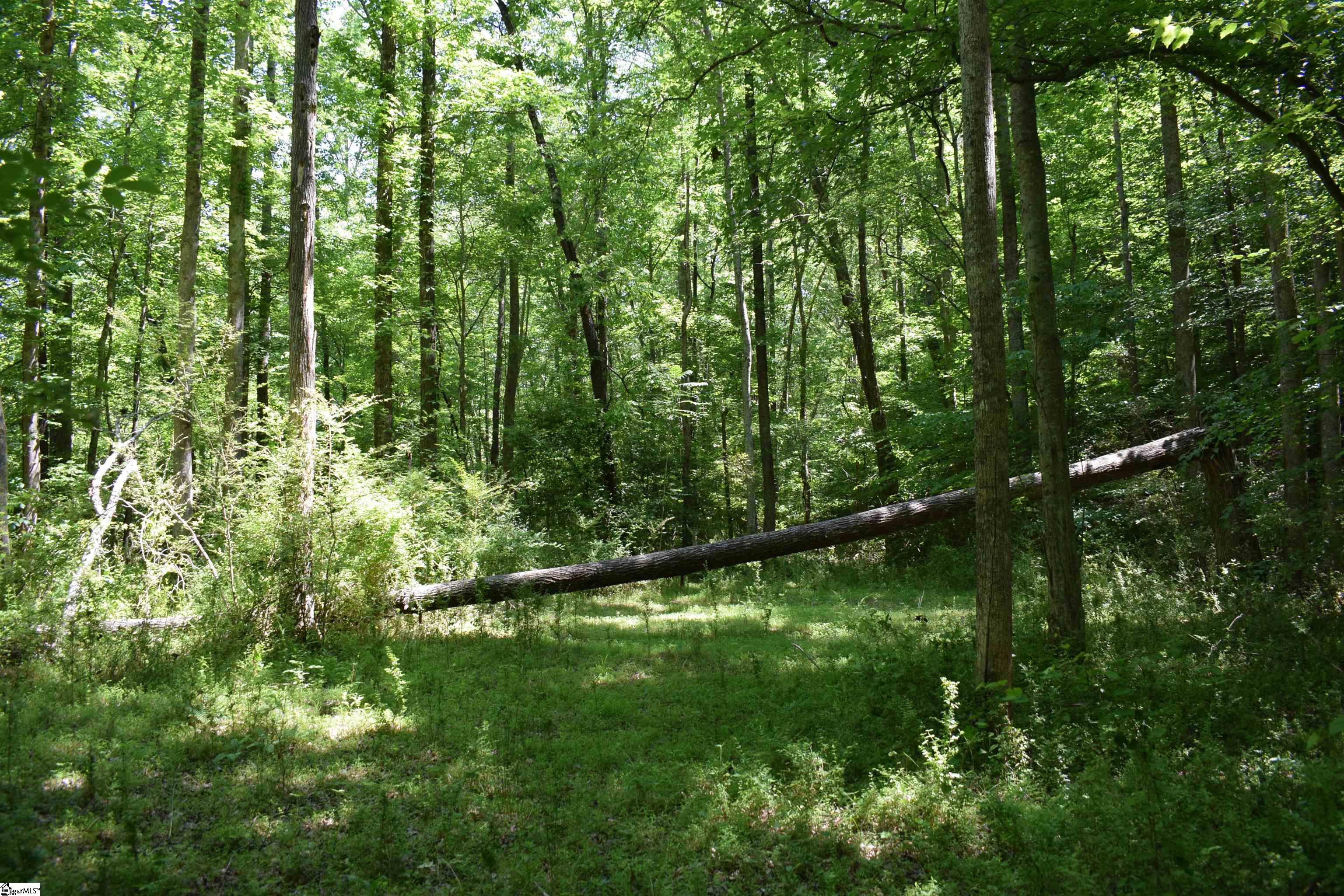 Floyd Blackwell Road Tryon, NC 28782 - Photo 18 of 27