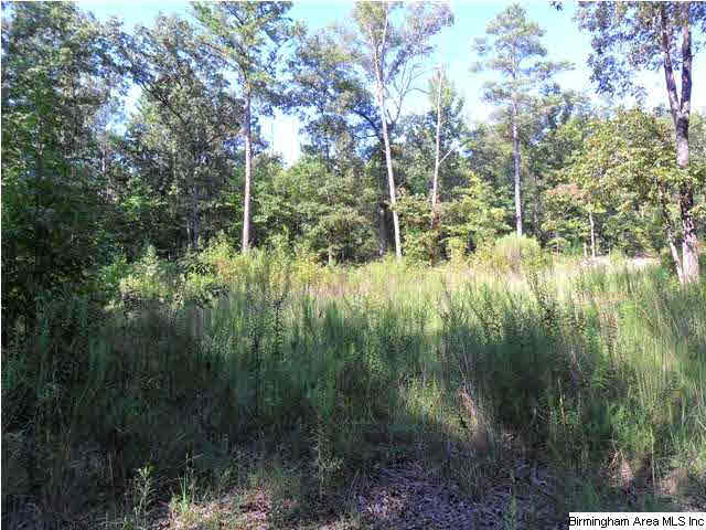 2485 Smokey Road, Unit 4 AC Alabaster, AL 35007 - Photo 1 of 3