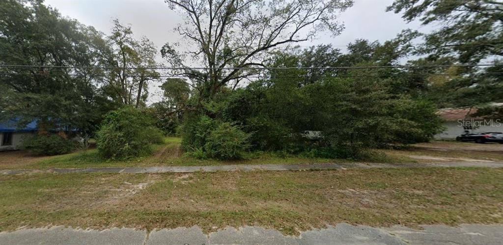 Main Street Chipley, FL 32428 - Photo 3 of 3