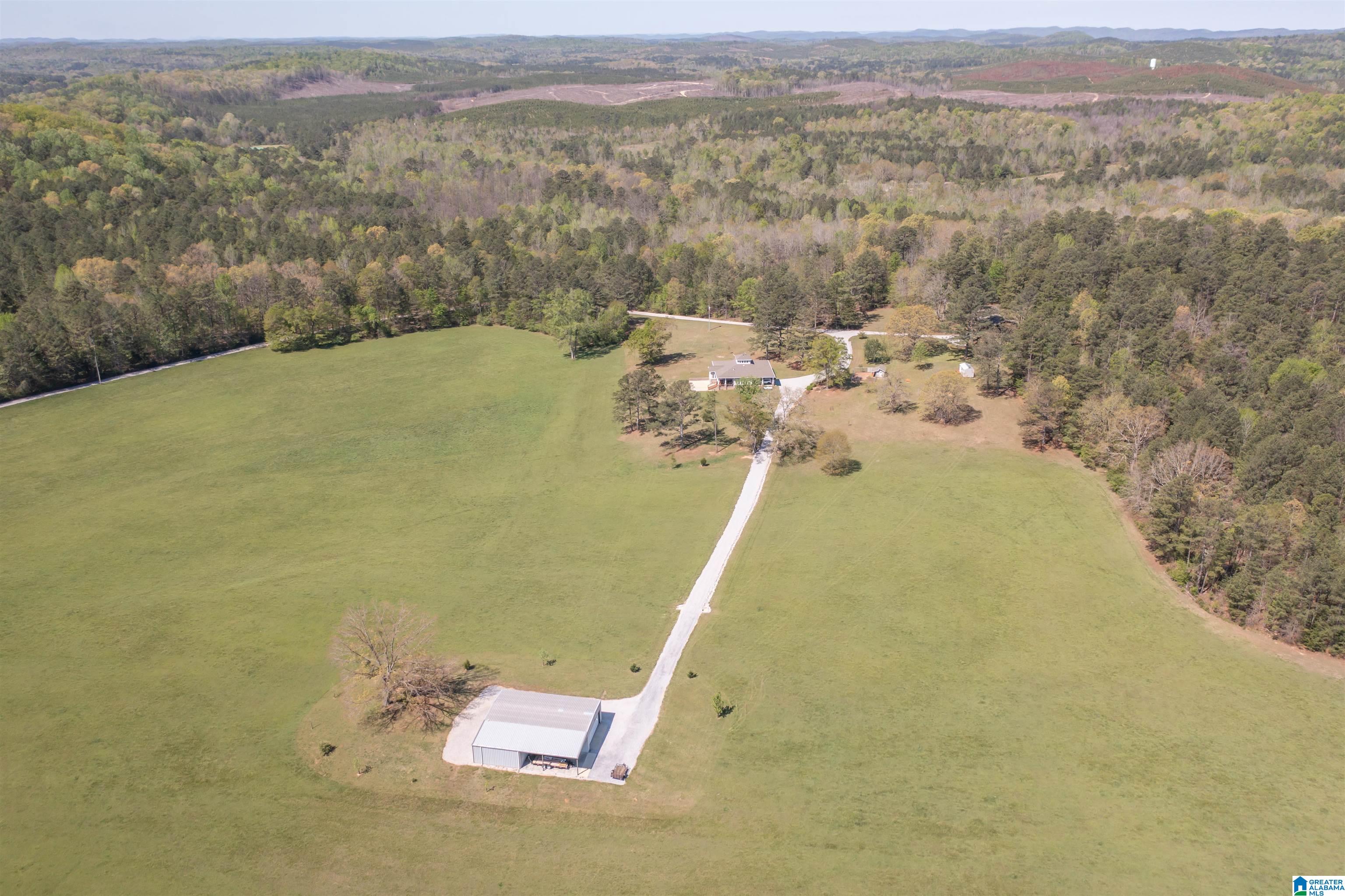 2741 Possum Trot Road Piedmont, AL 36272 - Photo 9 of 62