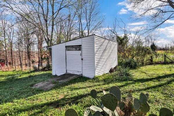 a view of a backyard with plants and large trees