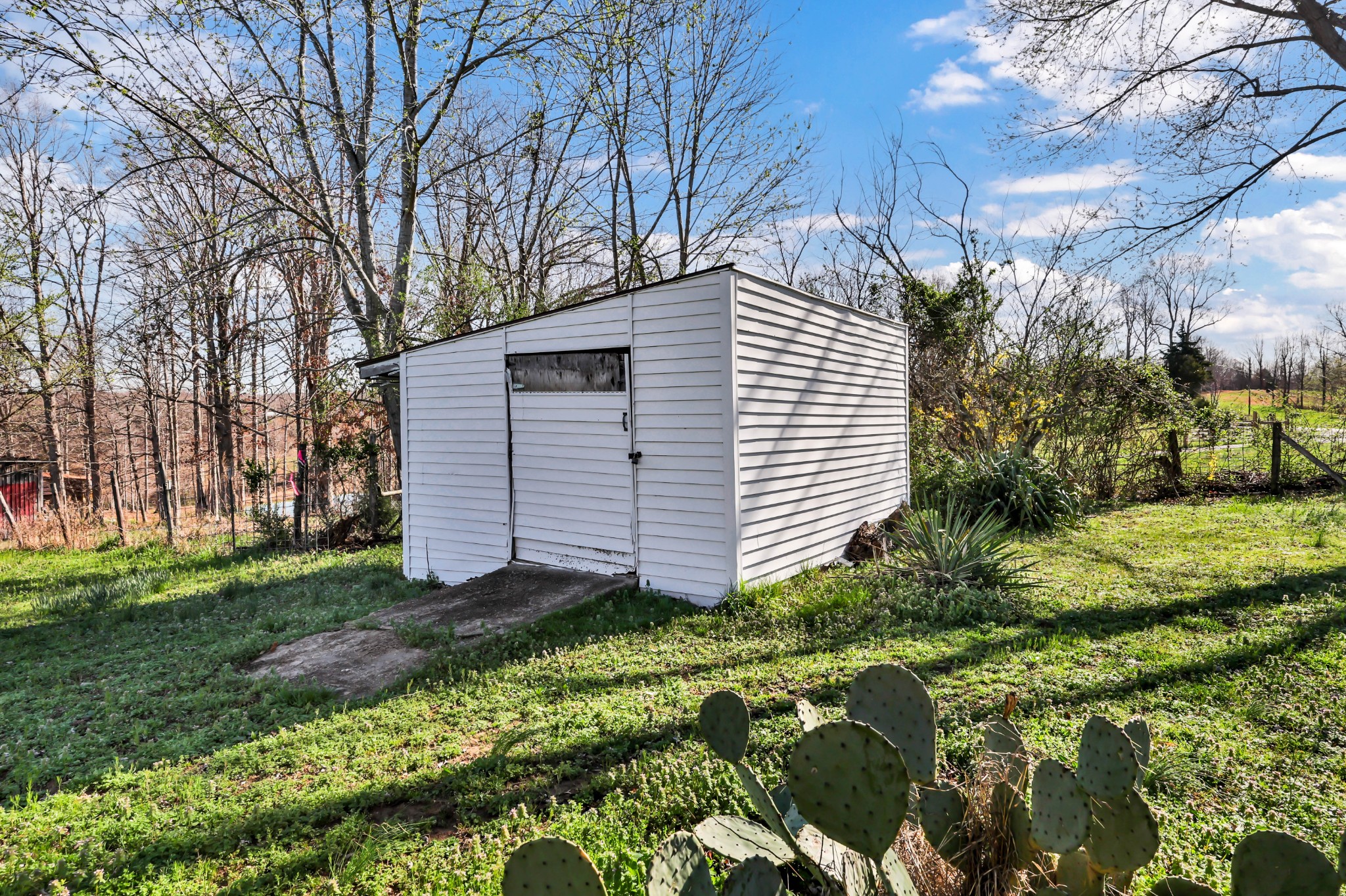 1765 Woolworth Road Erin, TN 37061 - Photo 21 of 34 a view of a backyard with plants and large trees