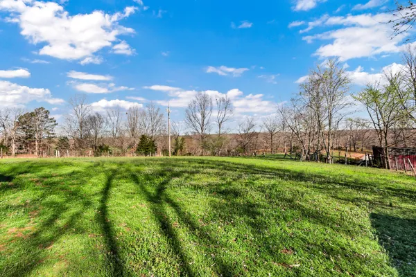 a view of a big yard