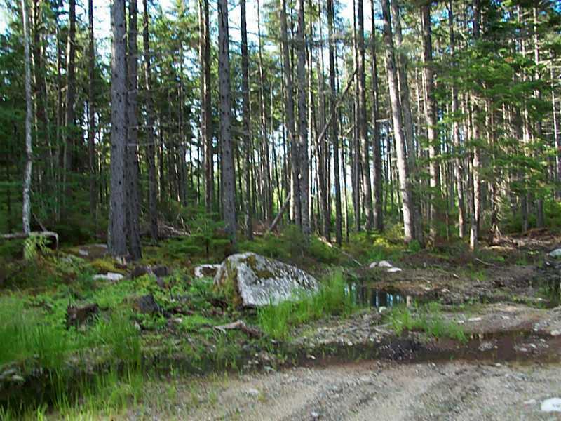 0 Bemis Road Oquossoc, ME 04964 - Photo 3 of 12 Land. mountain views