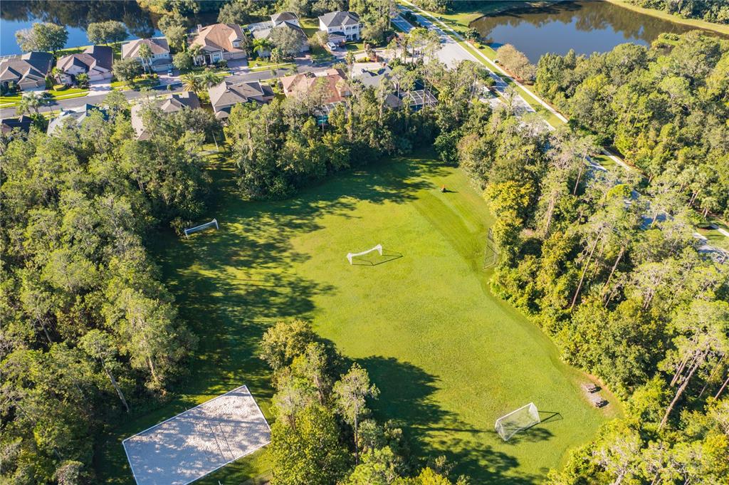 2409 Spring Hollow Loop Wesley Chapel, FL 33544 - Photo 45 of 47 a view of lake