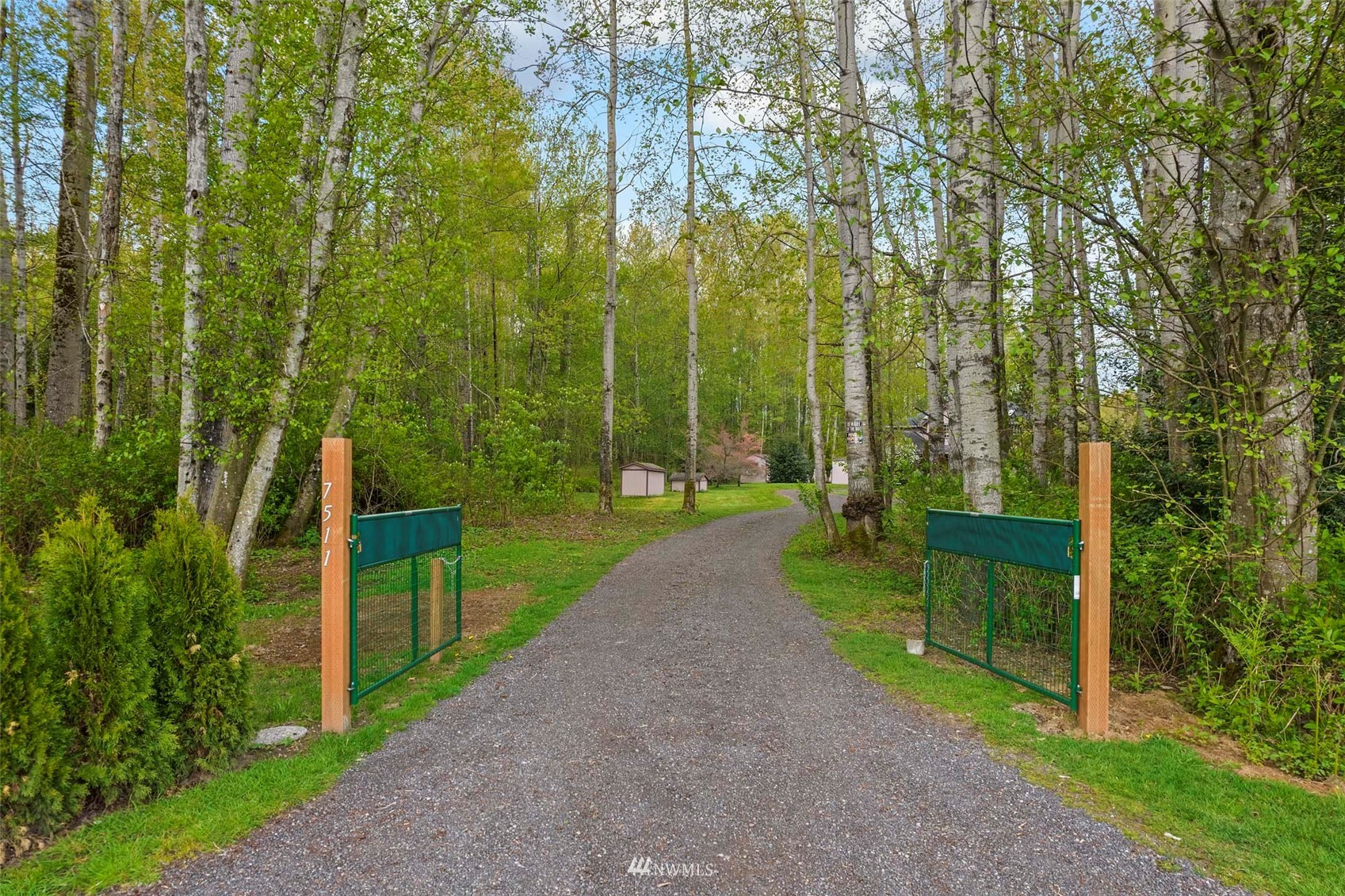 7511 Ham Road Ferndale, WA 98248 - Photo 35 of 40 a view of a park with large trees