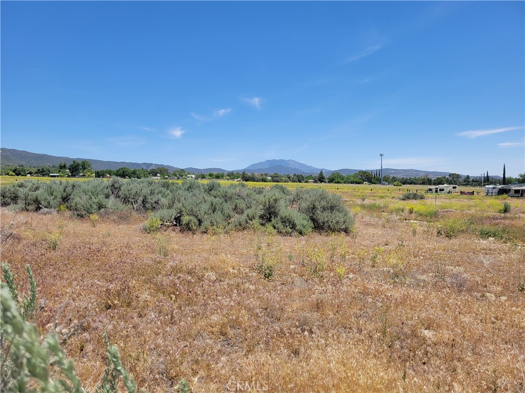 48 Bonita Vista Road Anza, CA 92539 - Photo 5 of 7