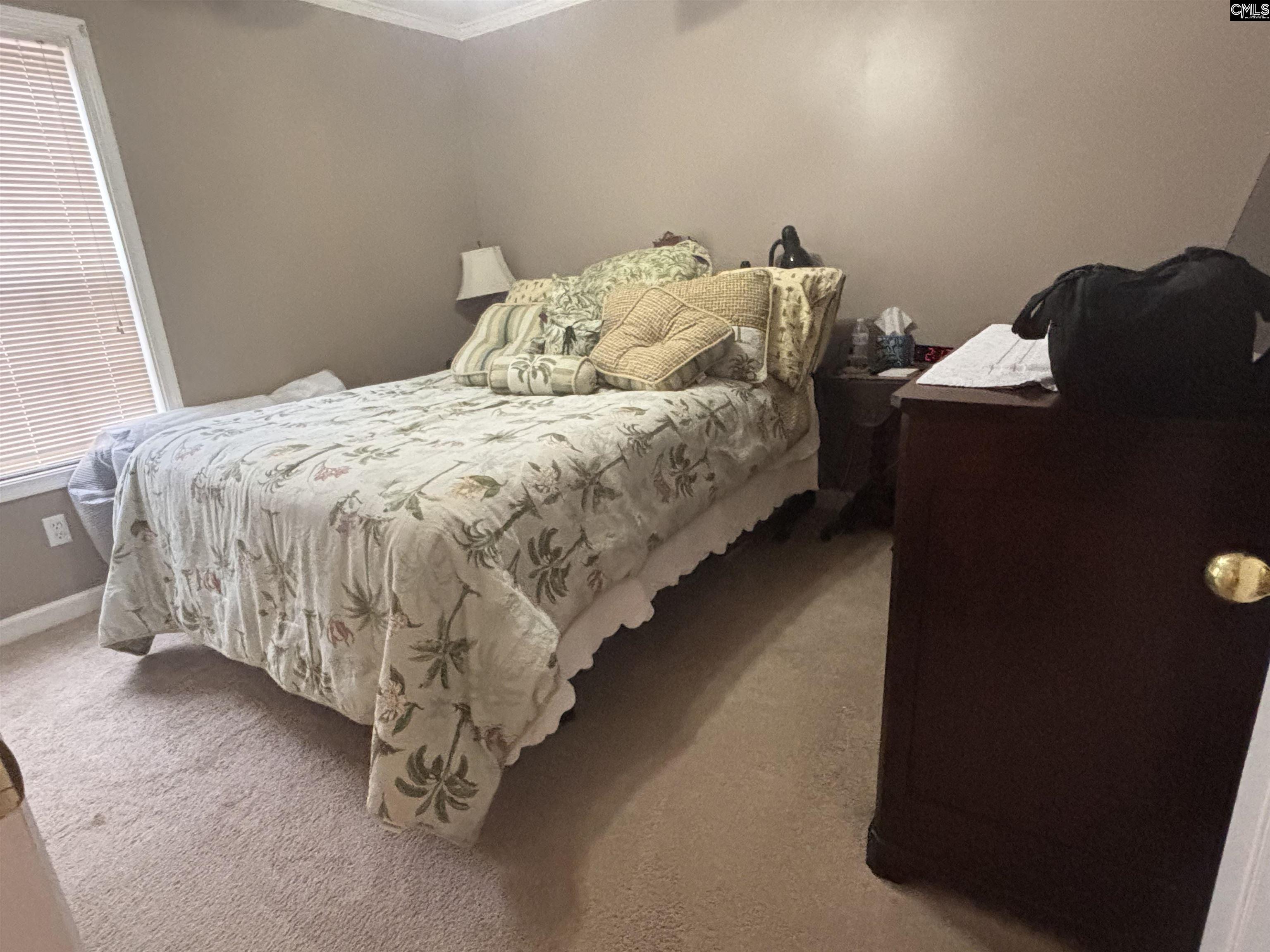 548 Eskie Dixon Road Elgin, SC 29045 - Photo 36 of 54