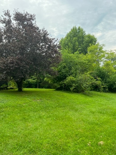 2681 Blackjack Road Franklin, KY 42134 - Photo 2 of 4