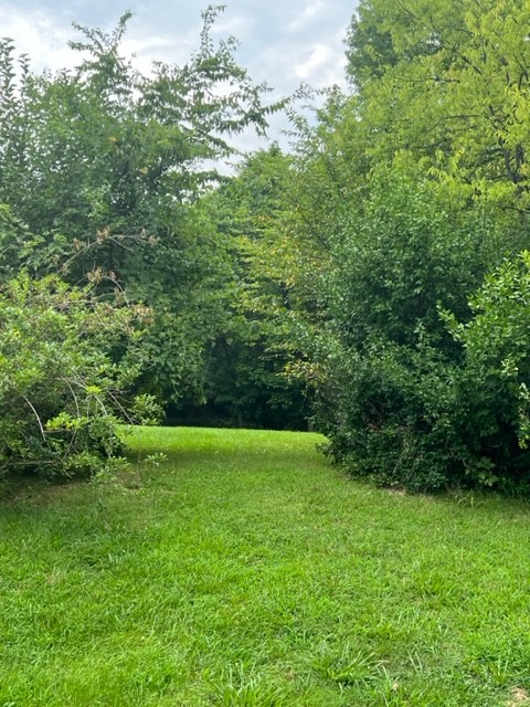 2681 Blackjack Road Franklin, KY 42134 - Photo 3 of 4