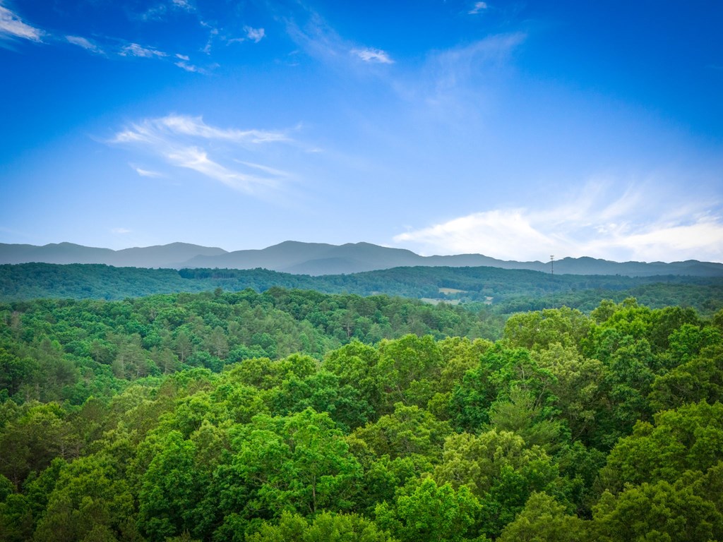 128 Ridge Brook Drive Morganton, GA 30560 - Photo 2 of 72