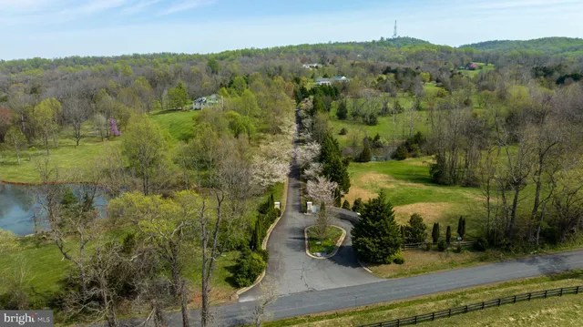 an aerial view of a forest with houses