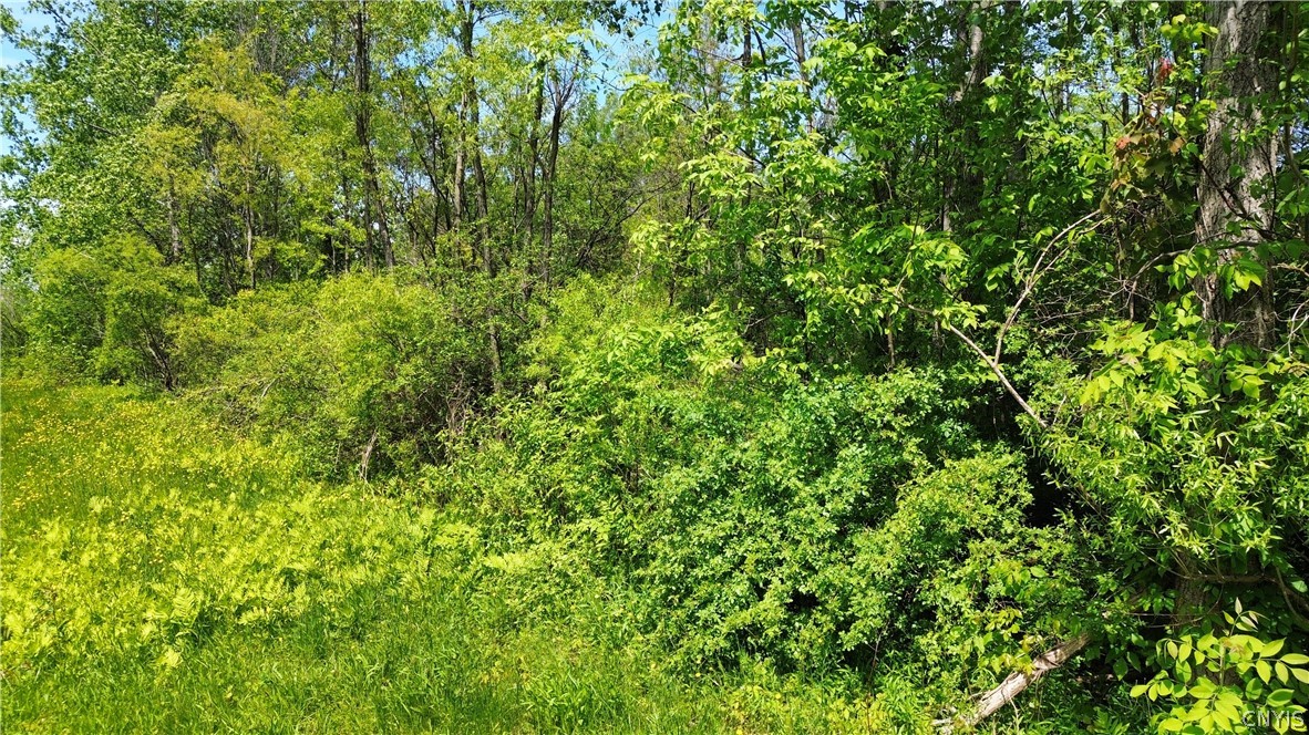 7630 Wall Street Road Wolcott, NY 14590 - Photo 15 of 15