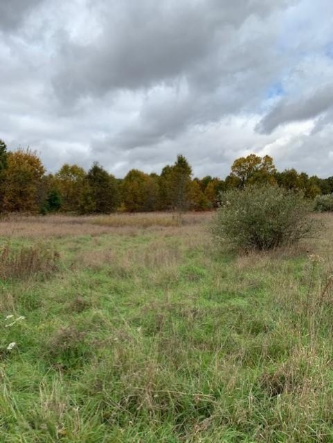 7757 Grand River Road Rives Junction, MI 49277 - Photo 11 of 20 19