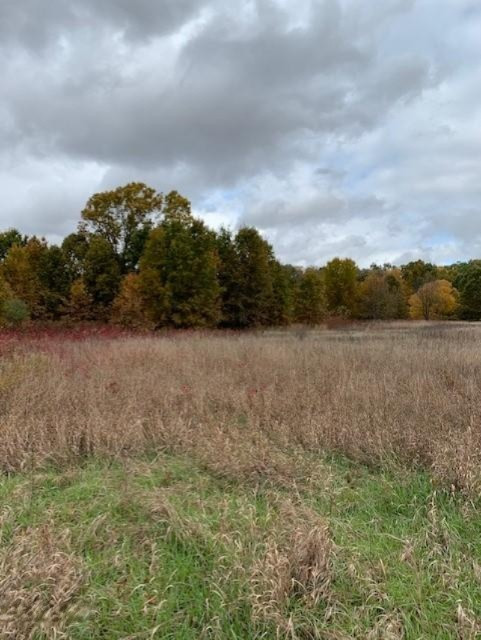 7757 Grand River Road Rives Junction, MI 49277 - Photo 12 of 20 20