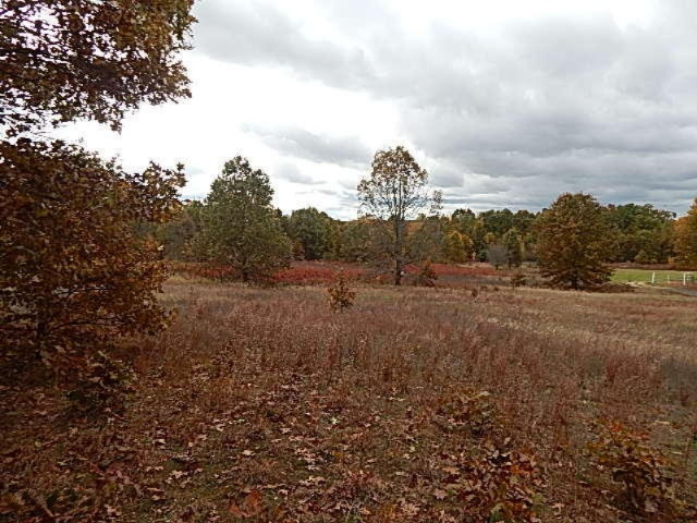 7757 Grand River Road Rives Junction, MI 49277 - Photo 13 of 20 DSCN7548