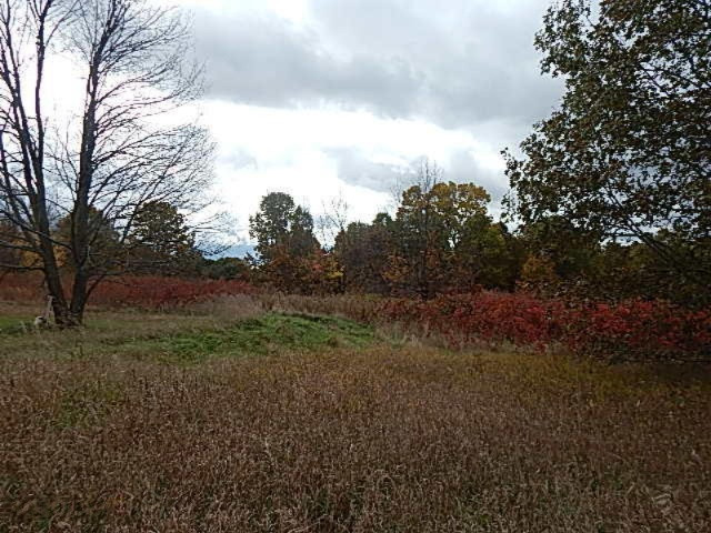 7757 Grand River Road Rives Junction, MI 49277 - Photo 14 of 20 DSCN7549