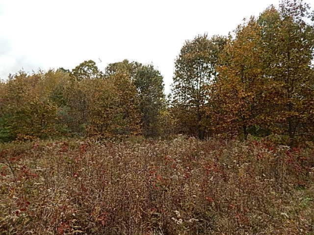 7757 Grand River Road Rives Junction, MI 49277 - Photo 19 of 20 DSCN7554