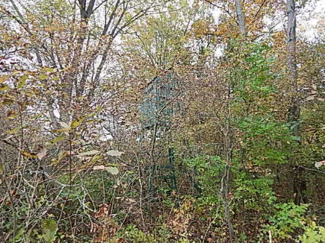 7757 Grand River Road Rives Junction, MI 49277 - Photo 20 of 20 DSCN7555