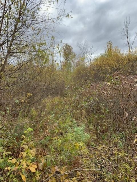 7757 Grand River Road Rives Junction, MI 49277 - Photo 8 of 20 16