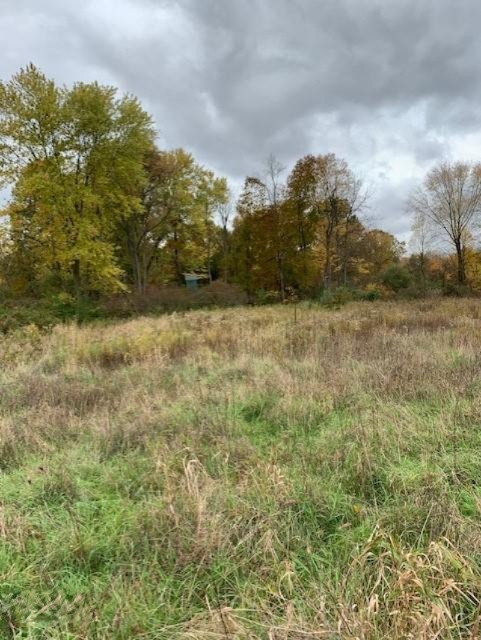 7757 Grand River Road Rives Junction, MI 49277 - Photo 9 of 20 17