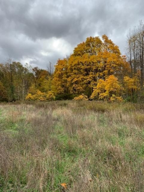 7757 Grand River Road Rives Junction, MI 49277 - Photo 10 of 20 18
