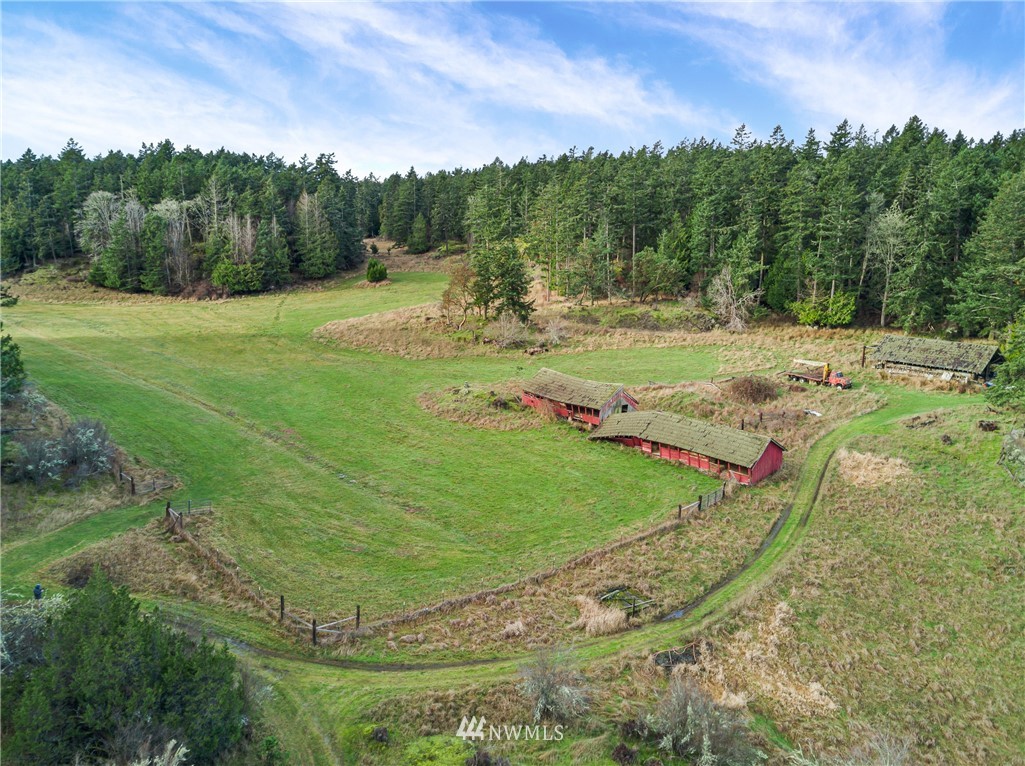 1408 Ben Nevis Loop Road Shaw Island, WA 98286 - Photo 22 of 35 Gallery Image 22