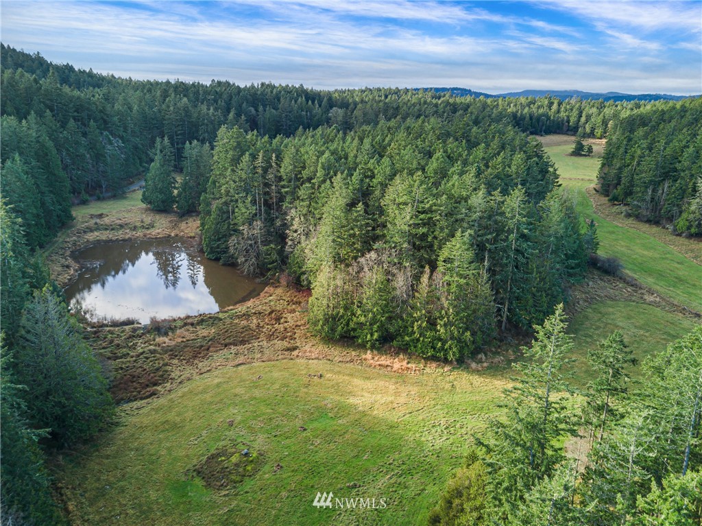1408 Ben Nevis Loop Road Shaw Island, WA 98286 - Photo 8 of 35 Gallery Image 8