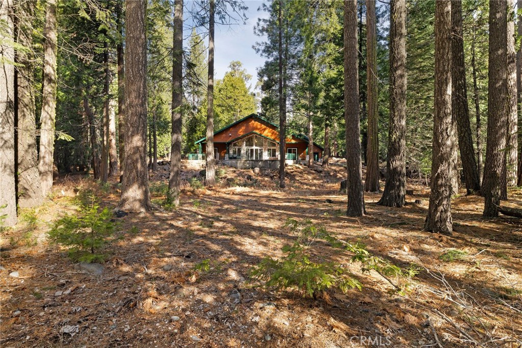 7588 Abner Lane Butte Meadows, CA 95942 - Photo 47 of 71