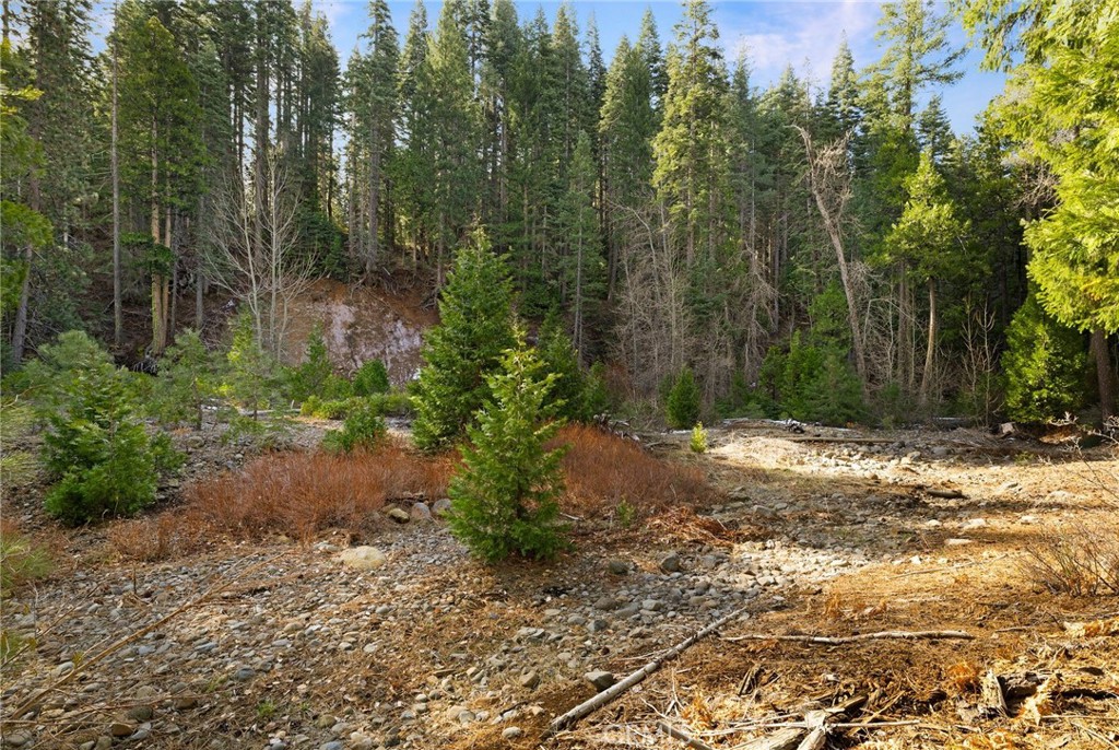 7588 Abner Lane Butte Meadows, CA 95942 - Photo 48 of 71