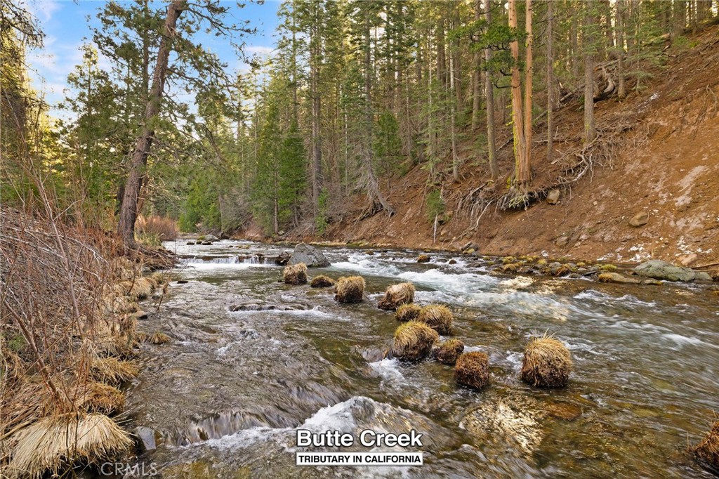 7588 Abner Lane Butte Meadows, CA 95942 - Photo 50 of 71